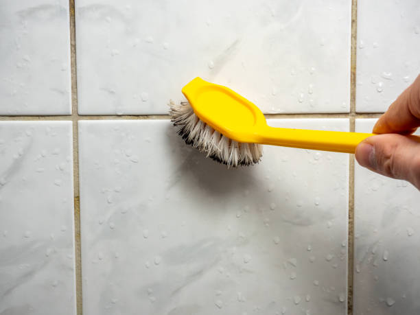 Best Professional Mold Removal  in Lake City, IA