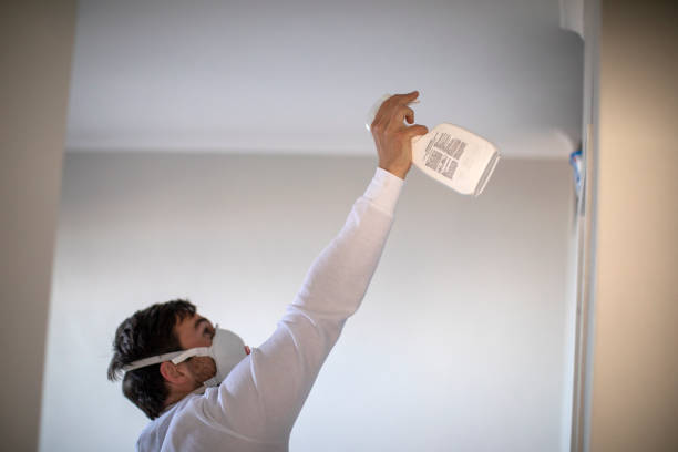 Best Local Mold Removal Service  in Lake City, IA