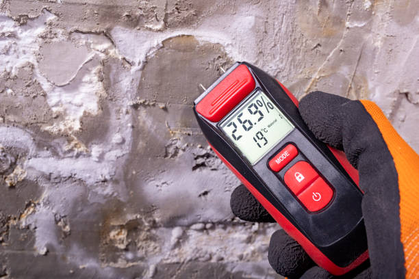 Best Mold Remediation  in Lake City, IA