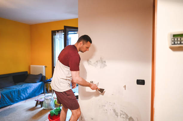 Professional Mold Removal in Lake City, IA