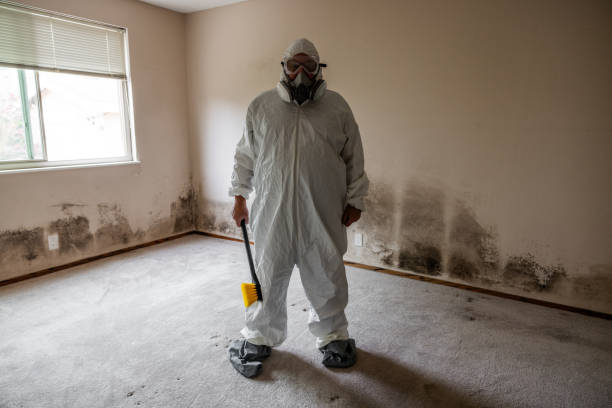 Best Commercial Mold Removal  in Lake City, IA
